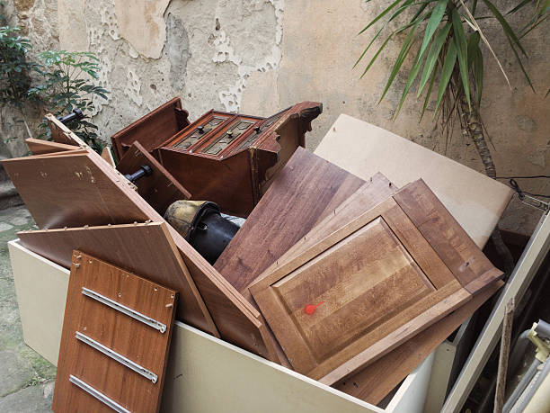 Yard Cleanup Services in Martha Lake, WA